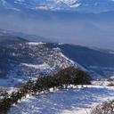 Barbara Ferri - @ferri_bferri - Twitter