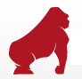 Secure your customer database with trap mails and protect your e-mail marketing activities. Free 30-day trial!