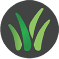 West London Artificial Grass are an independent installer of Namgrass. We have many years of experience installing the ultimate low maintenance lawn.