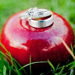 Alyson's Apple Orchard: pick apples in the fall, visit our farmstand, stay in our lodging, and let us host your wedding or event, photos on our website.