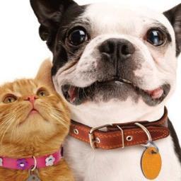 Online pet supply store, including dog supplies  & products, cat supplies & products, bird supplies and products as well as fish supplies & products.