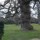 Jane Lambert - @alldorset - Twitter