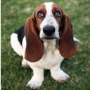 Beverly Roth - @Jake_and_Emma - Twitter