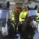 @Leonie Morris - @LeonieMorris1 - Twitter