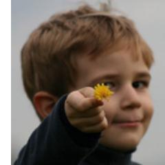 emiliolamp's profile picture. Se esiste un solo modo per farla giusta, viviamo esplorando miliardi di opzioni sbagliate...