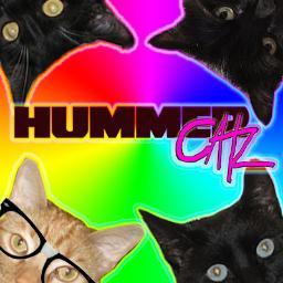 hummercatz's profile picture. Four cats escaped from a city pound and stole a Hummer limousine. Now, they are... HUMMERCATZ!