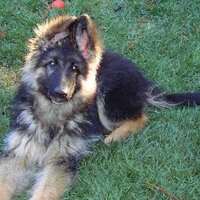 Julia R Barrett (@juliarbarrett) 's Twitter Profile