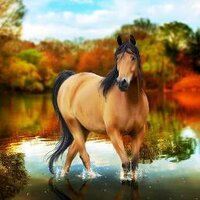 صائد الغزلان (@moudyalx) 's Twitter Profile