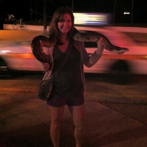 LisSea073's profile picture. Part Mad Libs