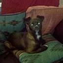 David Chase - @DavidMChase2 - Twitter