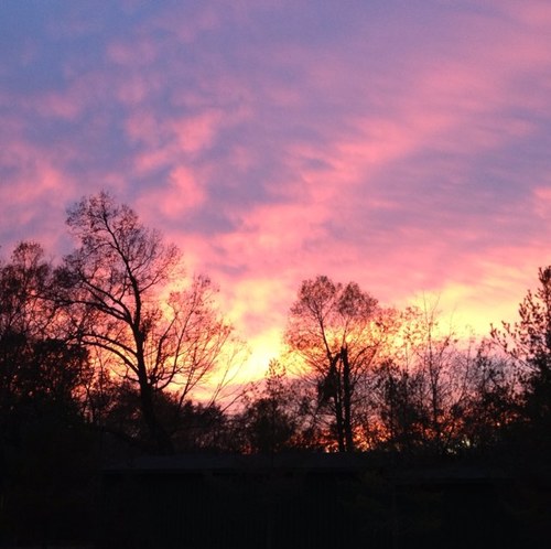 mpb_70's profile picture. 