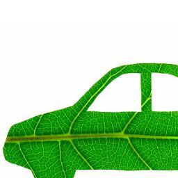 Green Leaf Automotive ; Your One Stop Shop for auto mechanics and detailing. Fast and friendly service with competitive prices. Call us today ! 250 590 8306