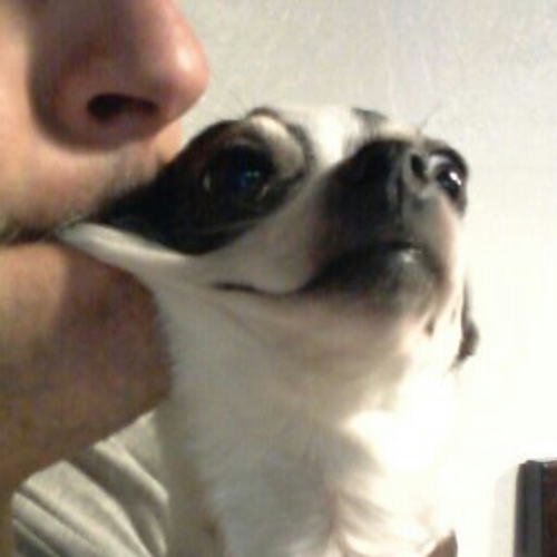 Lo5Man's profile picture. 