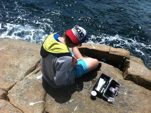 cr4ckerlein's profile picture. 