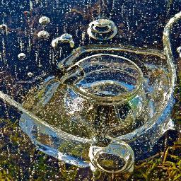 FractalCladonia's profile picture. If you hold very still you can see Mother watching through the water. #AiryEyes
