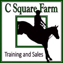 Three-day event rider and horse trainer specializing in horses for sale (Eventing Horses, Jumpers, Dressage Horses, Warmbloods, and Fox Hunters)