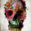 Hannah - @HannahSandsDibb - Twitter