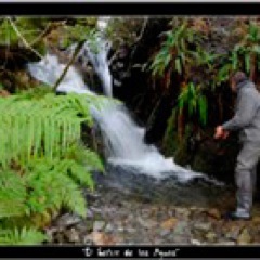 Aficionado a la fotografía de naturaleza.
