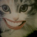 Naes Nilrac (@naesnilrac) Twitter profile photo Naes Nilrac (@naesnilrac) Twitter profile photo