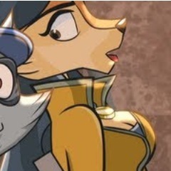Freeze, Ringtail!