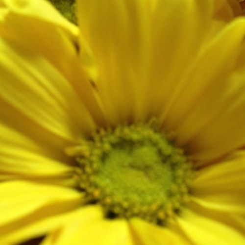 llmdrake03's profile picture. 