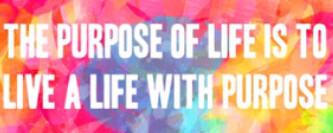 Che_Br0wN's profile picture. 