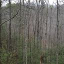 Alex Ferrell - @bigamf1 - Twitter