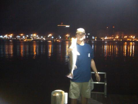 pooldue23's profile picture. 