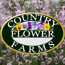 Country Flower Farms