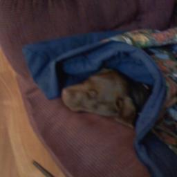 EngenKraig's profile picture. 