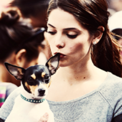 ItsEdwinCullen's profile picture. Nenhum espaço de tempo com você seria suficiente. Comecemos com o para sempre. -Edward. | Since: 11/11/12 | FC de Harry Potter: @Pudim_Reliquia