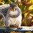 Betsey_Rice's profile image