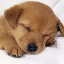 Kim Ngo - @KngoKim - Twitter