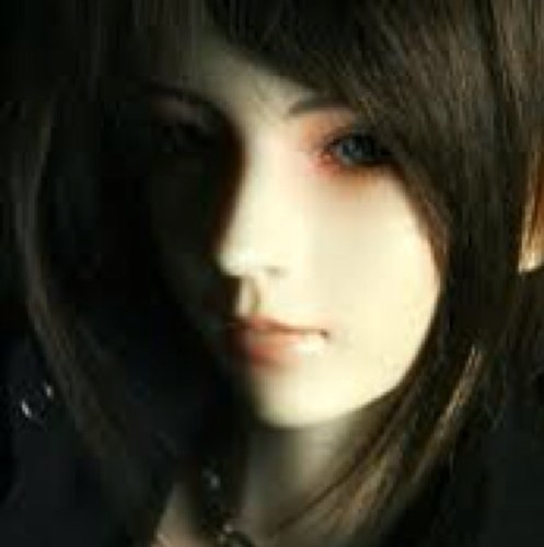 Kakiwitter's profile picture. 