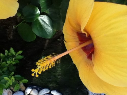 colorpower's profile picture. 