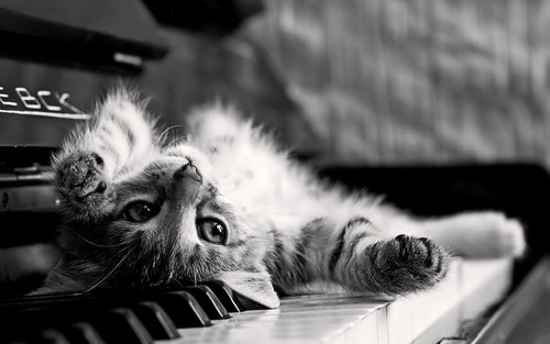 Music, music everywhere!