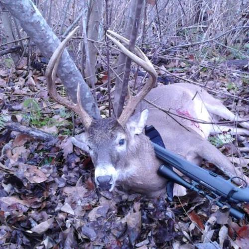 Stephen4bama's profile picture. 