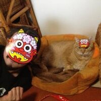 コウノハイジ (@heidi_kohno) 's Twitter Profile