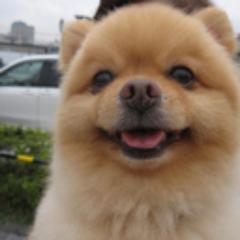 大阪人のはるとです。おもしろネタが大好きです。笑えるネタをつぶやいて行く予定です。よろしくお願いします＾＾ｖ