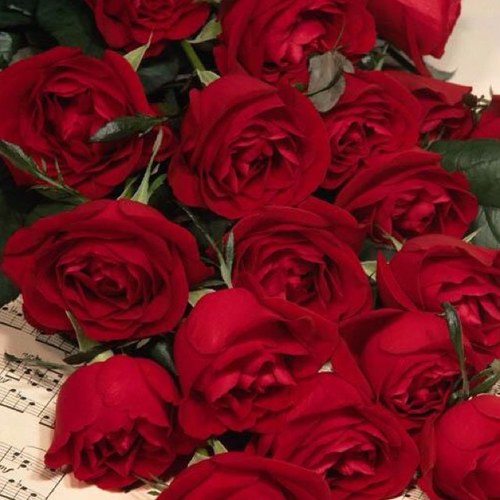 111mazen111's profile picture. نصمت لـ تسير حياتنا ع مايرام فالأيام لم تعد كما كانت نقيههَ