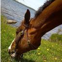 Laurie Gabbert - @LaurieGabbert - Twitter