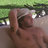 florodonovan10's profile image
