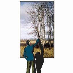 TimBruce33's profile picture. 