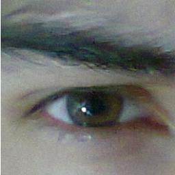ningen_fran Profile Picture