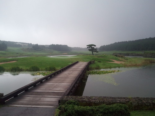 longk5875's profile picture. 등산 마라톤 골프를  즐기는....그리고 사람답게 사는 상식이 통하는  세상을 갈구하는 마음으로......수꼴들 정말 싫다.