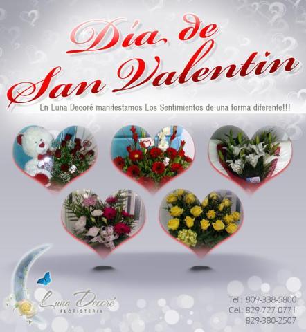 LD es un nuevo concepto en Floristeria con estilos elegantes que haran de sus espacios sueños realizables! Tel. 809-338-5800