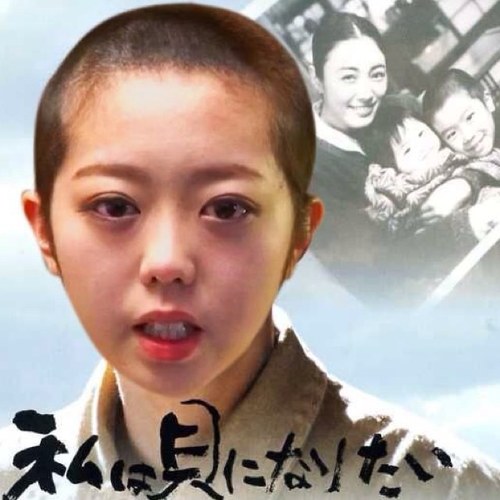 オリュンポス12神の1人 アテナ

知恵・工芸・学芸の神
戦争の知恵を持ち、都市の守護神である。