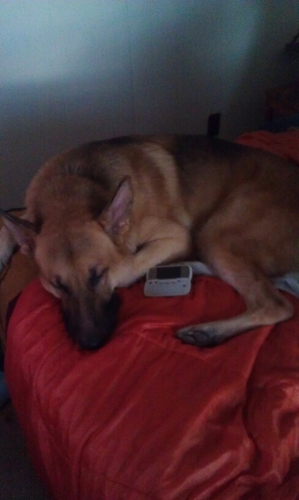 datpiff2344's profile picture. 