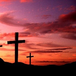 _healintheworld's profile picture. 