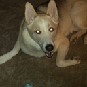 Derek Davis - @berg_plz_kisses - Twitter